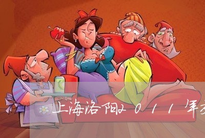 上海洛阳2011年交通事故/2023032516047