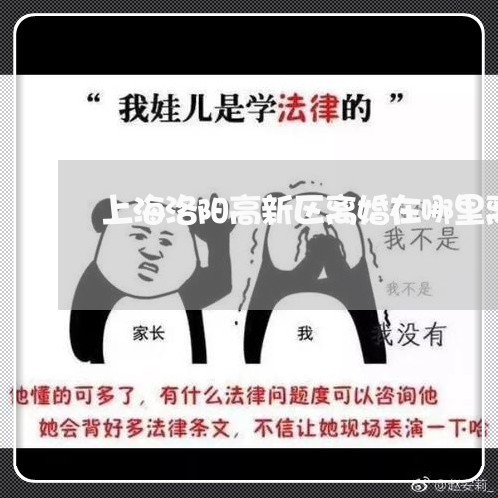 上海洛阳高新区离婚在哪里离/2023032536159