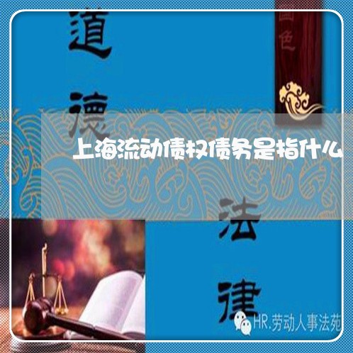 上海流动债权债务是指什么/2023032283947 上海流动债权债务是指什么/2023032283947
