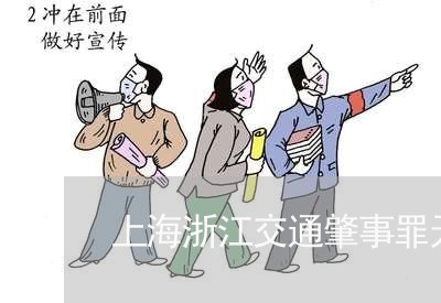 上海浙江交通肇事罪无罪辩护/2023032556026