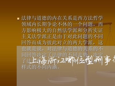 上海浙江哪位型刑事律师最好/2023032574049 上海浙江哪位型刑事律师最好/2023032574049