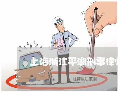 上海浙江平湖刑事律师事务所/2023032539482