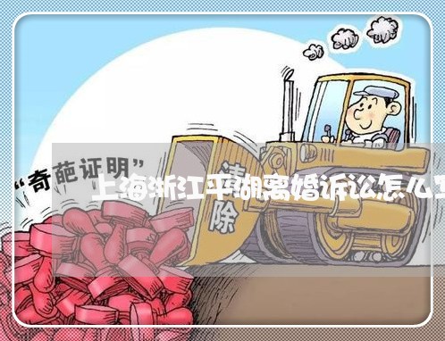 上海浙江平湖离婚诉讼怎么写/2023032574848 上海浙江平湖离婚诉讼怎么写/2023032574848