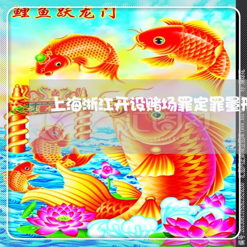 上海浙江开设赌场罪定罪量刑/2023032549482