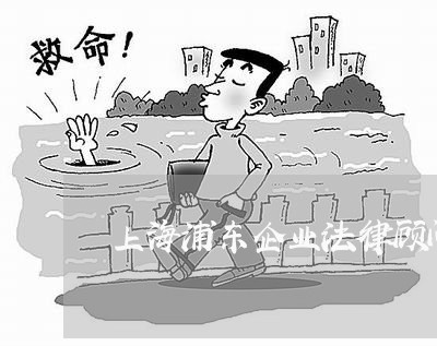 上海浦东企业法律顾问找谁 上海浦东企业法律顾问找谁