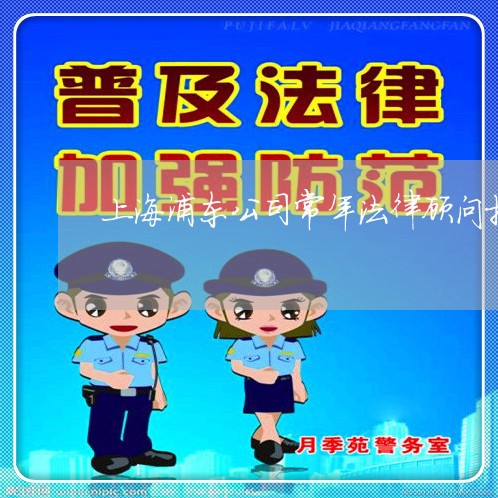 上海浦东公司常年法律顾问推荐