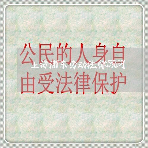 上海浦东劳动法律顾问/2023061902960