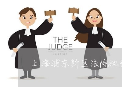 上海浦东新区法院执行工作
