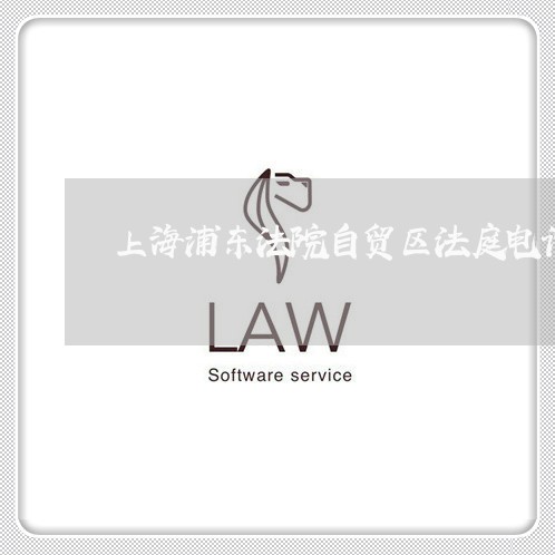 上海浦东法院自贸区法庭电话