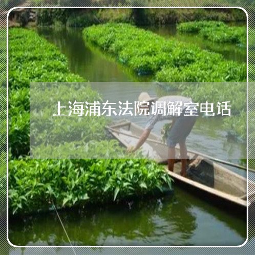 上海浦东法院调解室电话 上海浦东法院调解室电话