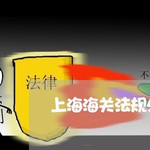 上海海关法规处处长