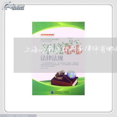 上海海南海口刑事律师有哪些/2023032560606