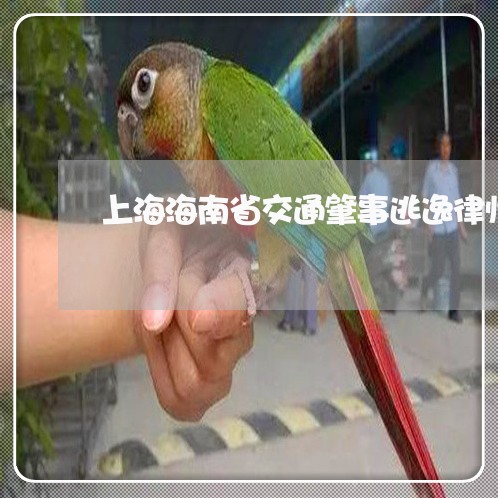 上海海南省交通肇事逃逸律师/2023032541726