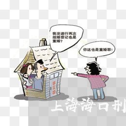 上海海口刑事案件律师有哪些/2023032547271