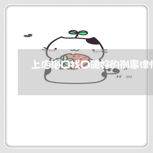 上海海口找口碑好的刑事律师/2023032578462