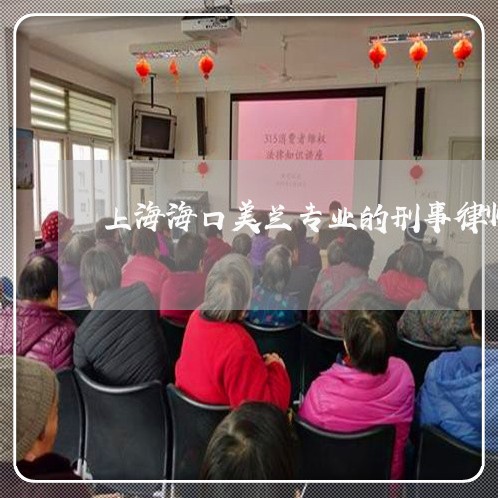 上海海口美兰专业的刑事律师/2023032571584