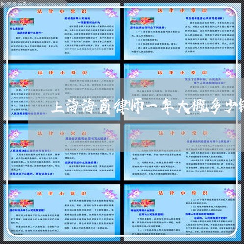 上海海商律师一年大概多少钱/2023032528795 上海海商律师一年大概多少钱/2023032528795