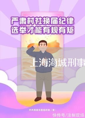 上海海城刑事案律师/2023032669570