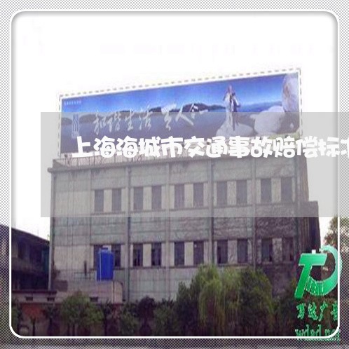 上海海城市交通事故赔偿标准/2023032552603