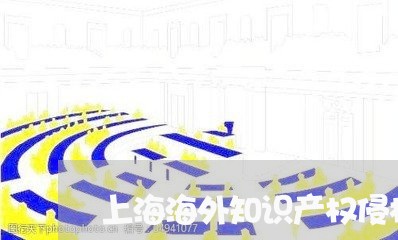 上海海外知识产权侵权保险/2023032316060 上海海外知识产权侵权保险/2023032316060
