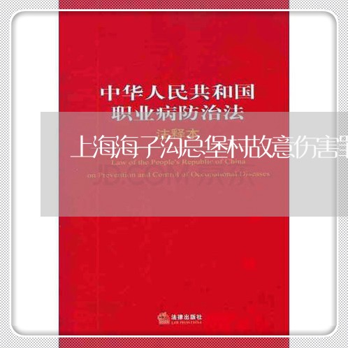 上海海子沟总堡村故意伤害罪/2023032553693