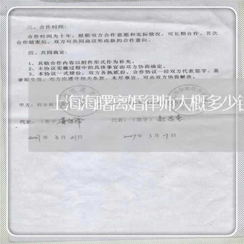 上海海曙离婚律师大概多少钱/2023032504820