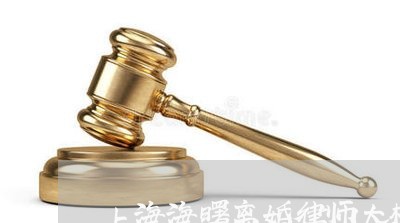 上海海曙离婚律师大概多少钱/2023032595138