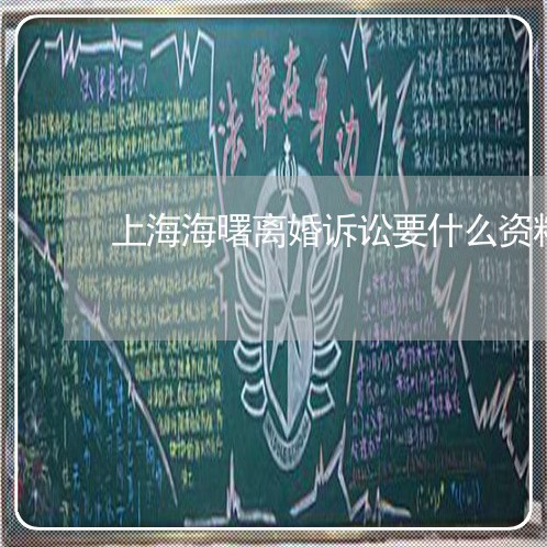 上海海曙离婚诉讼要什么资料/2023032503724