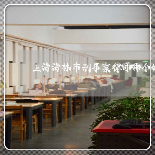 上海海林市刑事案律师哪个好/2023032563505