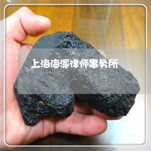 上海海派律师事务所/2023032671492