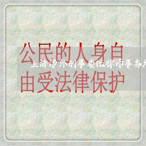 上海涉外刑事委托律师事务所/2023032584925