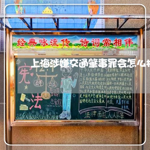 上海涉嫌交通肇事罪会怎么样/2023032516050