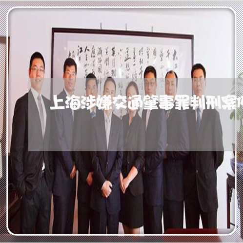 上海涉嫌交通肇事罪判刑案例/2023032558469