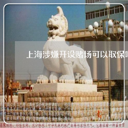 上海涉嫌开设赌场可以取保吗/2023032570382