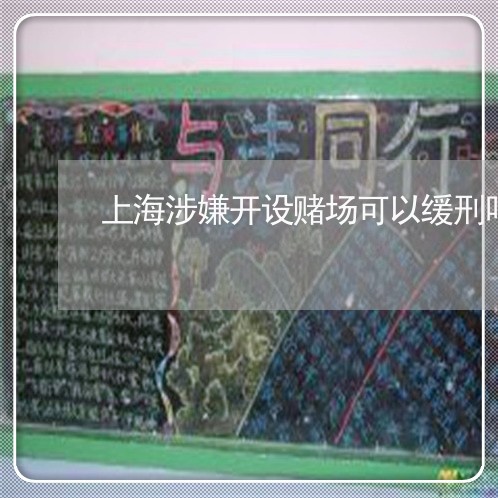 上海涉嫌开设赌场可以缓刑吗/2023032574604
