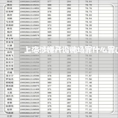 上海涉嫌开设赌场罪什么罪过/2023032547157