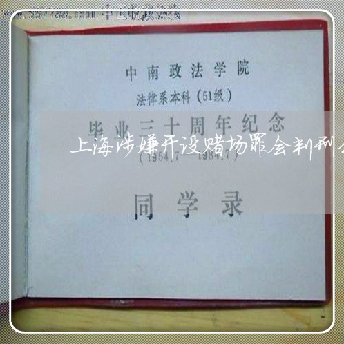 上海涉嫌开设赌场罪会判刑么/2023032587037