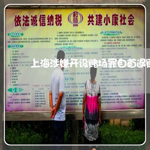 上海涉嫌开设赌场罪自首退赃/2023032572027 上海涉嫌开设赌场罪自首退赃/2023032572027