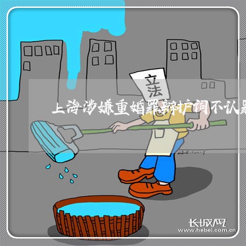 上海涉嫌重婚罪辩护词不认罪/2023032574926