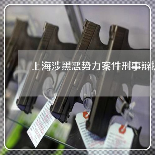 上海涉黑恶势力案件刑事辩护/2023032541491 上海涉黑恶势力案件刑事辩护/2023032541491
