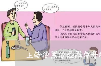 上海涉黑涉恶罪与寻衅滋事罪/2023032549713