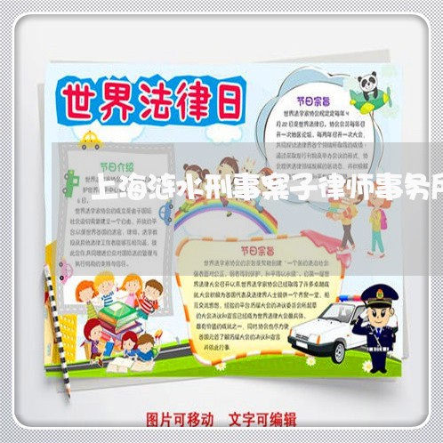 上海涟水刑事案子律师事务所/2023032526039