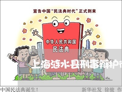上海涟水县刑事辩护律师服务/2023032593828