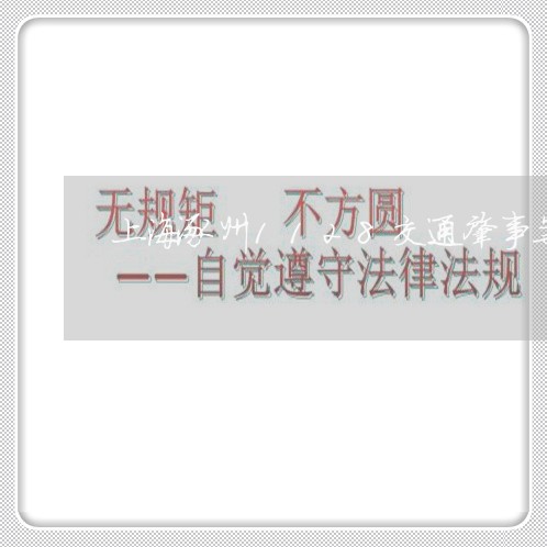 上海涿州1128交通肇事案/2023032593726