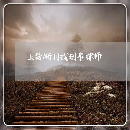上海淅川找刑事律师/2023032694039