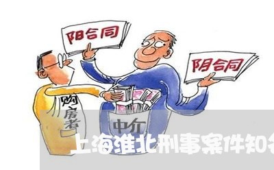 上海淮北刑事案件知名的律师/2023032515949 上海淮北刑事案件知名的律师/2023032515949