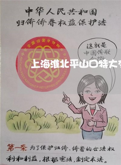 上海淮北平山口特大交通事故/2023032526181