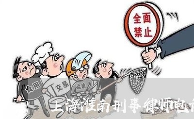 上海淮南刑事律师电话/2023032306038