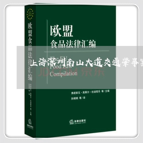 上海深圳南山大道交通肇事案/2023032520282 上海深圳南山大道交通肇事案/2023032520282