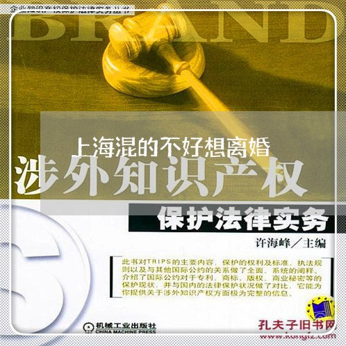 上海混的不好想离婚/2023032673907 上海混的不好想离婚/2023032673907